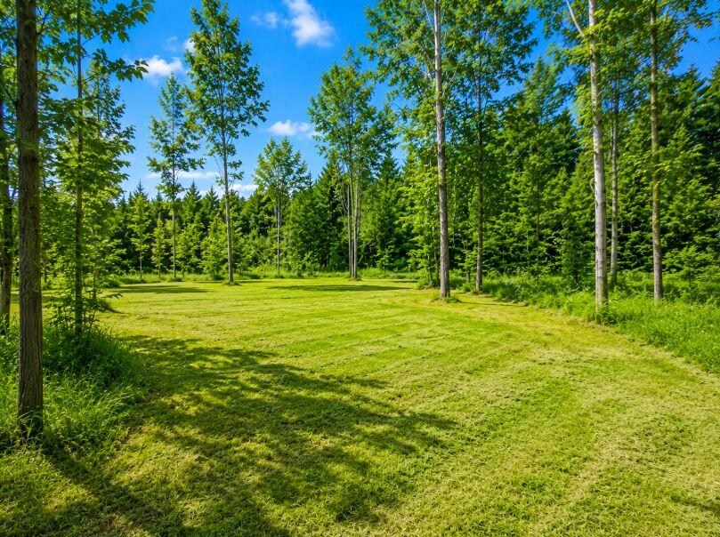 4500 Witmere Road Charlevoix, MI 49720 - Photo 5 of 13 H