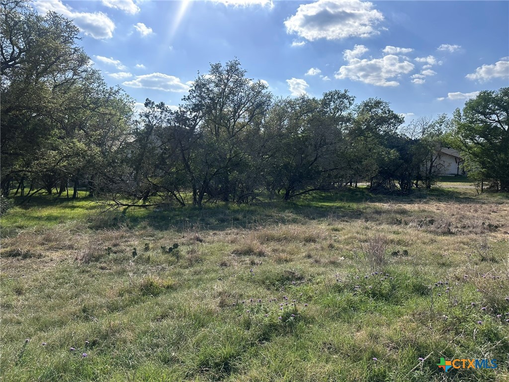 3 South Stern Lane Belton, TX 76513 - Photo 1 of 1 a view of outdoor space with deck and yard