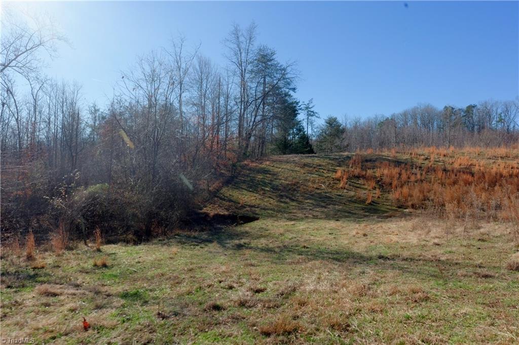 3 Roby Fulk Road Pinnacle, NC 27043 - Photo 18 of 25 Gallery Image 18