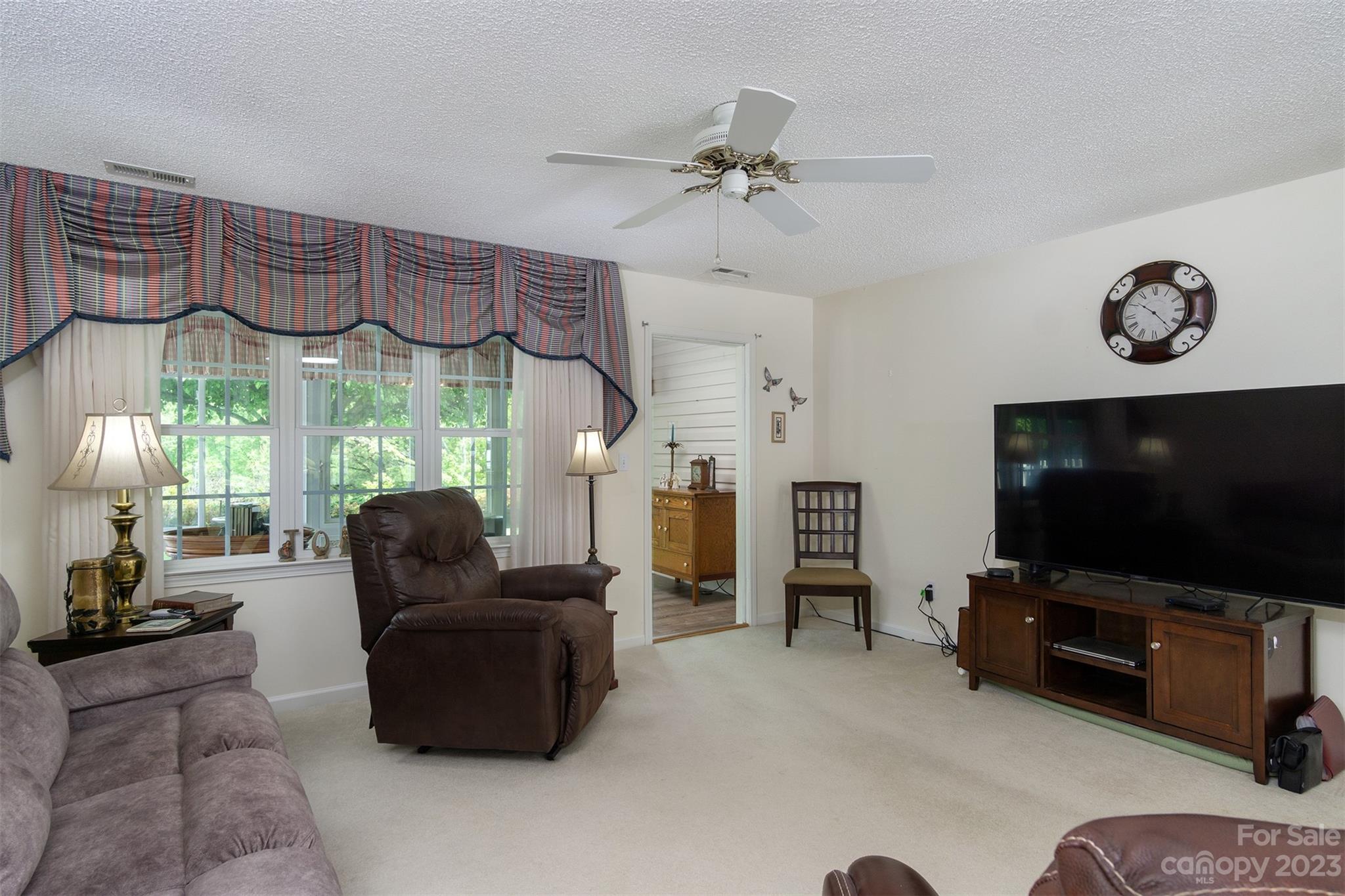 19 Briarbrook Road Fletcher, NC 28732 - Photo 17 of 46 a living room with furniture and a flat screen tv