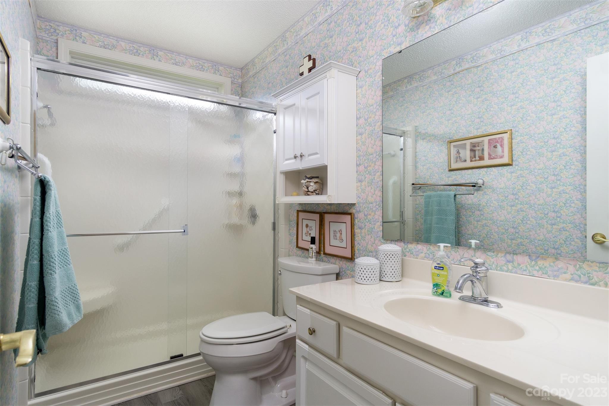19 Briarbrook Road Fletcher, NC 28732 - Photo 23 of 46 a bathroom with a sink toilet and shower