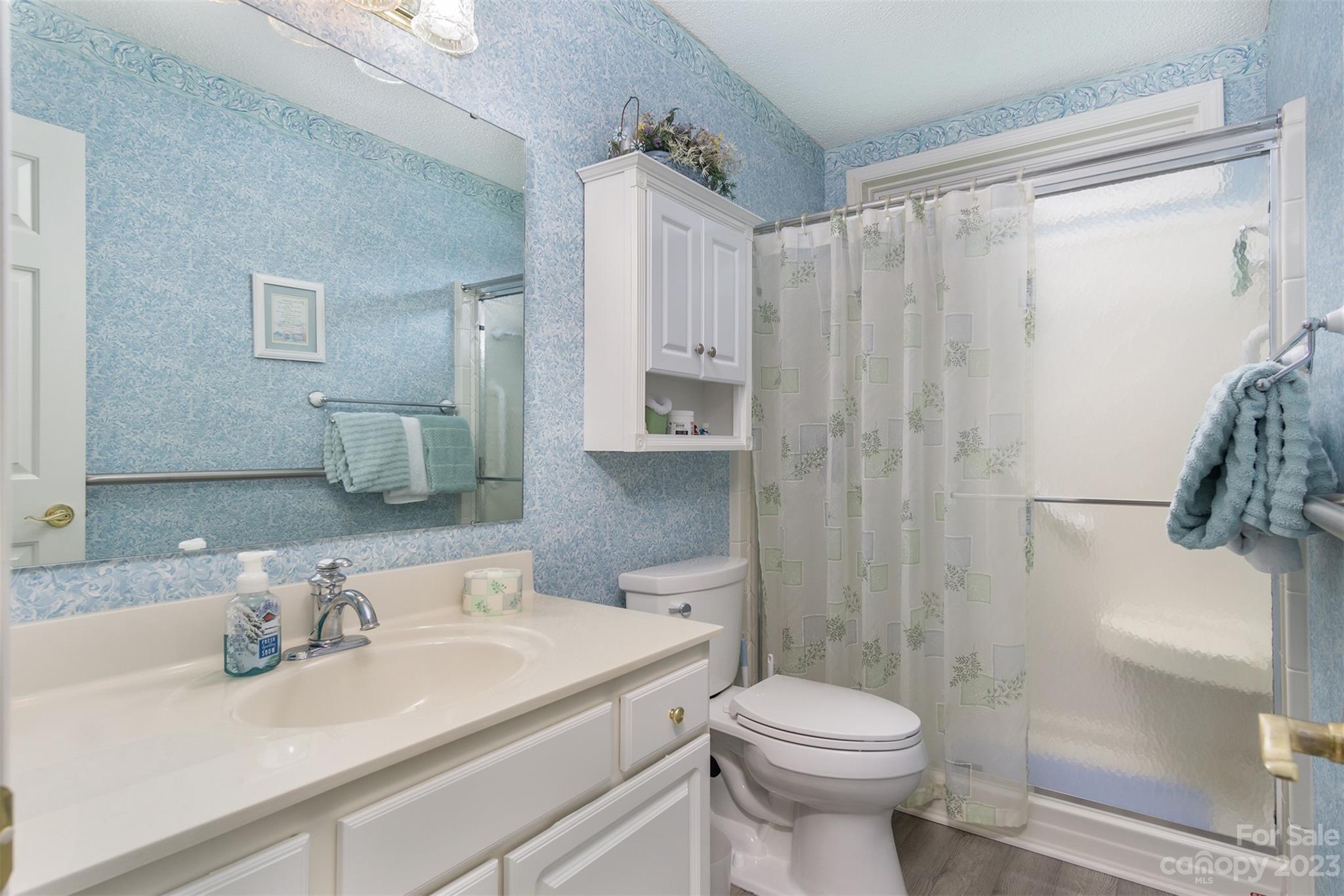 19 Briarbrook Road Fletcher, NC 28732 - Photo 26 of 46 a bathroom with a sink toilet and shower