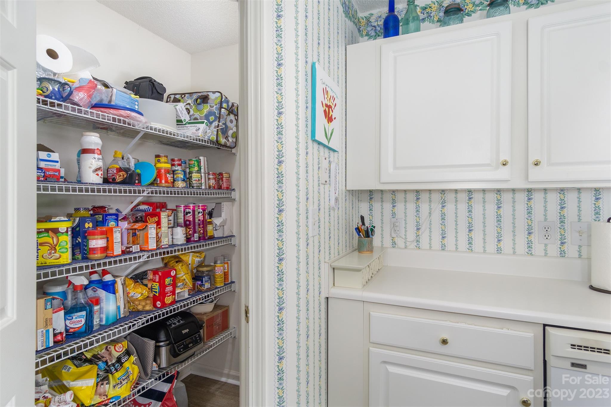 19 Briarbrook Road Fletcher, NC 28732 - Photo 32 of 46 a utility room with lots of clutter and cabinets
