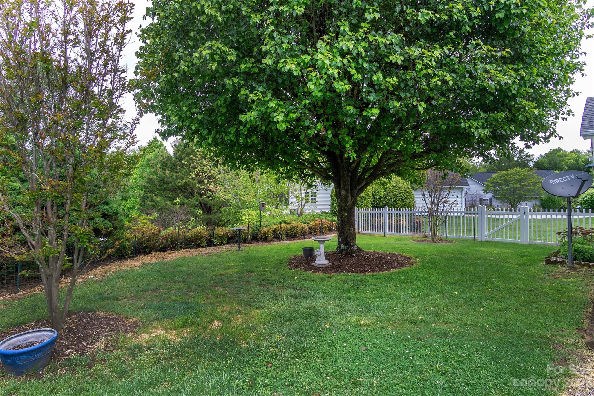 19 Briarbrook Road Fletcher, NC 28732 - Photo 40 of 46 a view of a garden with a tree