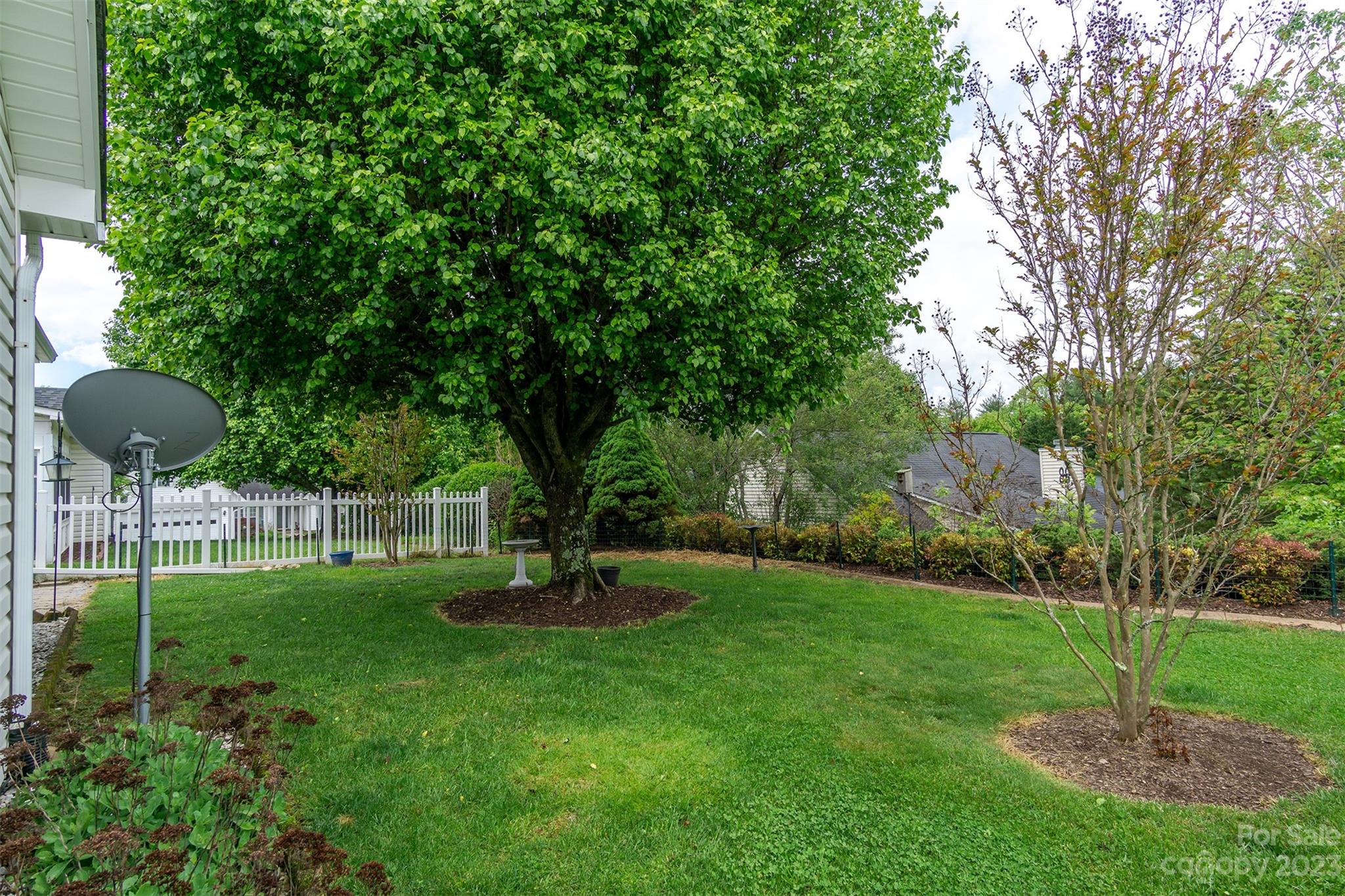 19 Briarbrook Road Fletcher, NC 28732 - Photo 41 of 46 a view of a garden with a tree