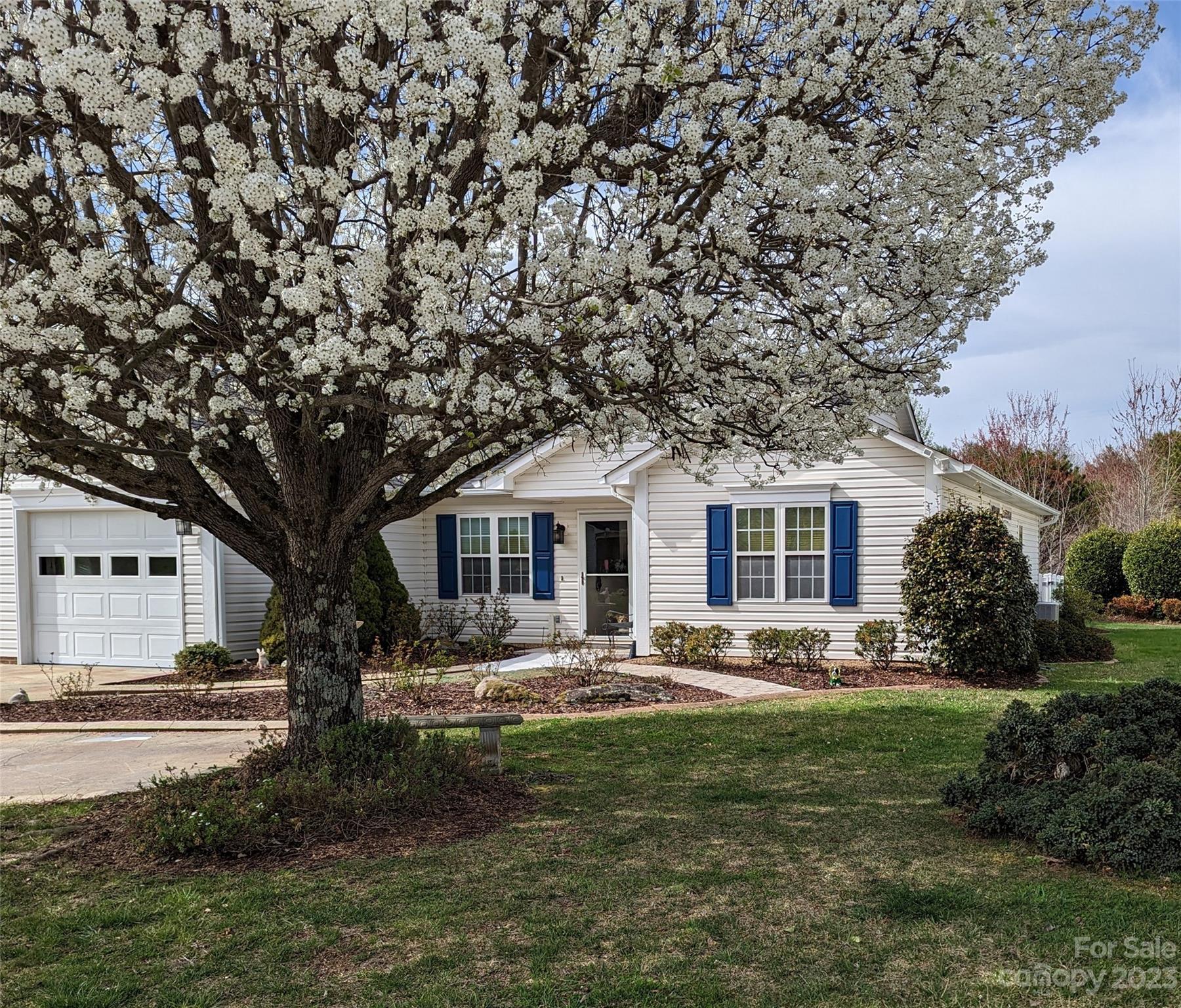 19 Briarbrook Road Fletcher, NC 28732 - Photo 46 of 46 a front view of a house with garden