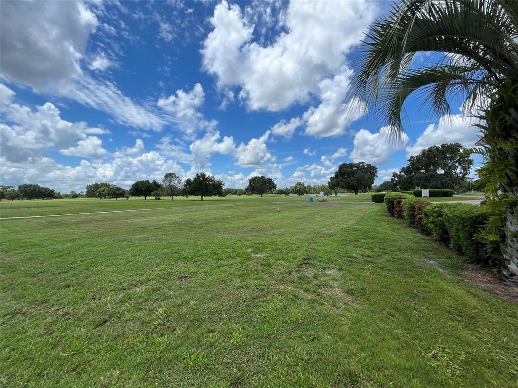 Oleander Drive Frostproof, FL 33843 - Photo 24 of 33 a view of a big yard with plants and a large tree