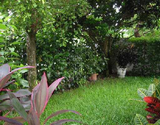 6261 Northwest 23rd Road Boca Raton, FL 33434 - Photo 8 of 8 Additional Photo