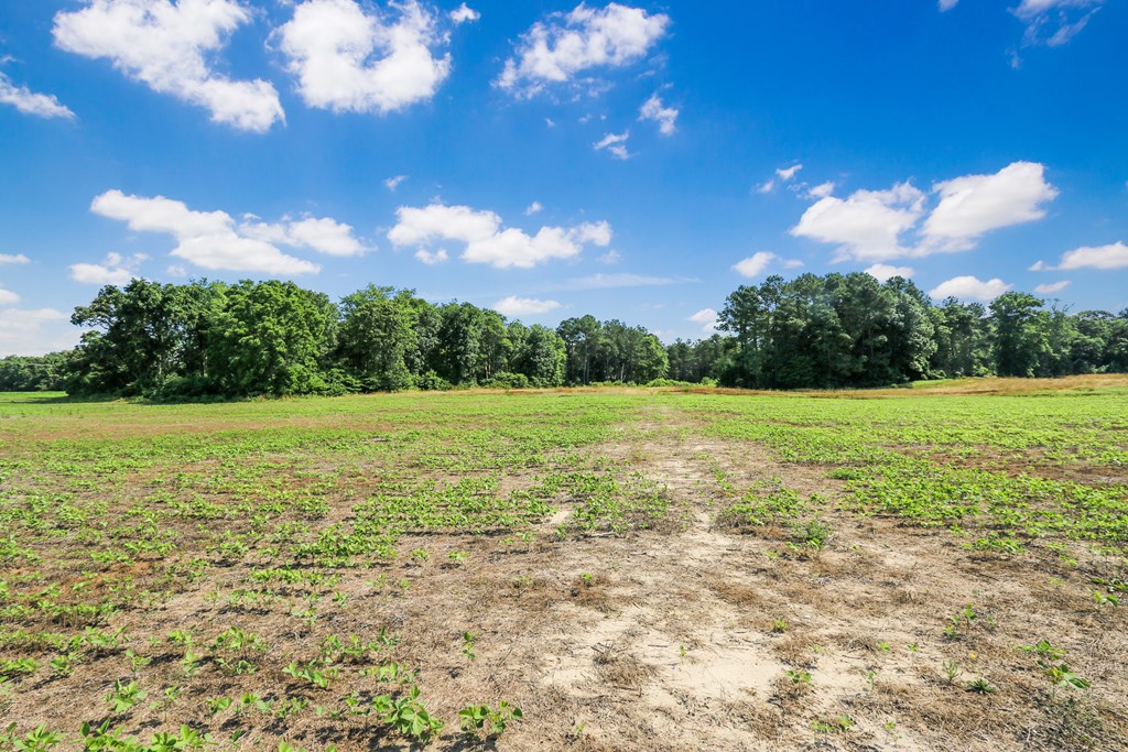 Lot 6 Fleming Road, Unit 6 Horntown, VA 23395 - Photo 21 of 26