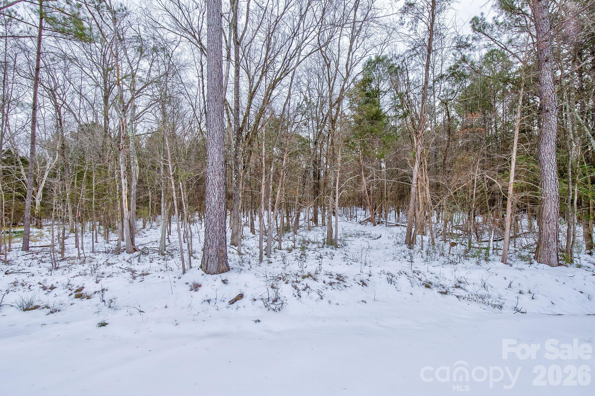974 Old York Road Chester, SC 29706 - Photo 4 of 44