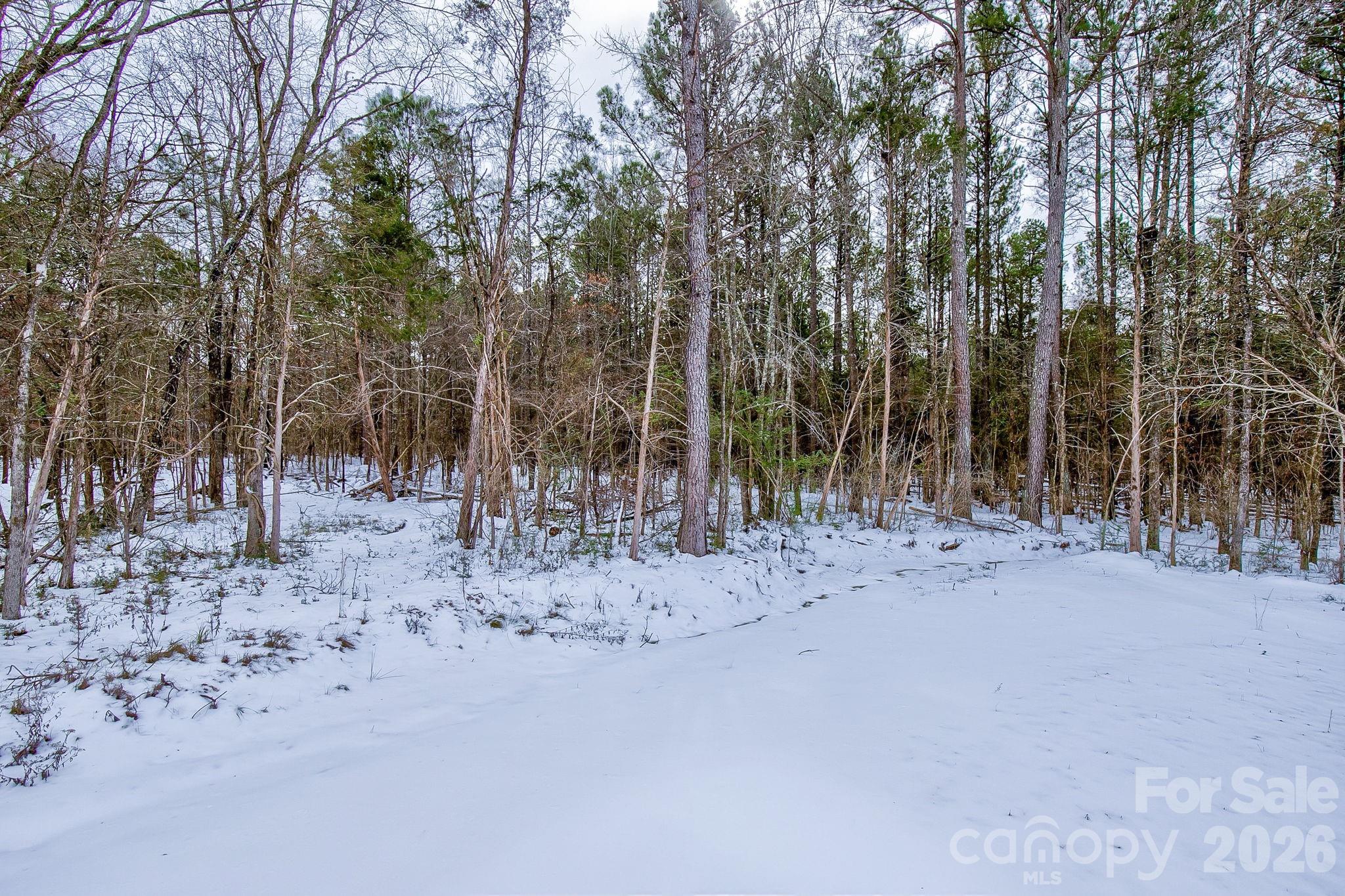 974 Old York Road Chester, SC 29706 - Photo 5 of 44