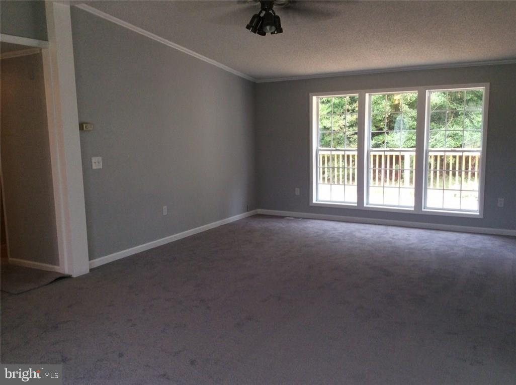 37 Sawgrass Road Milton, DE 19968 - Photo 6 of 24 Gallery Image 6