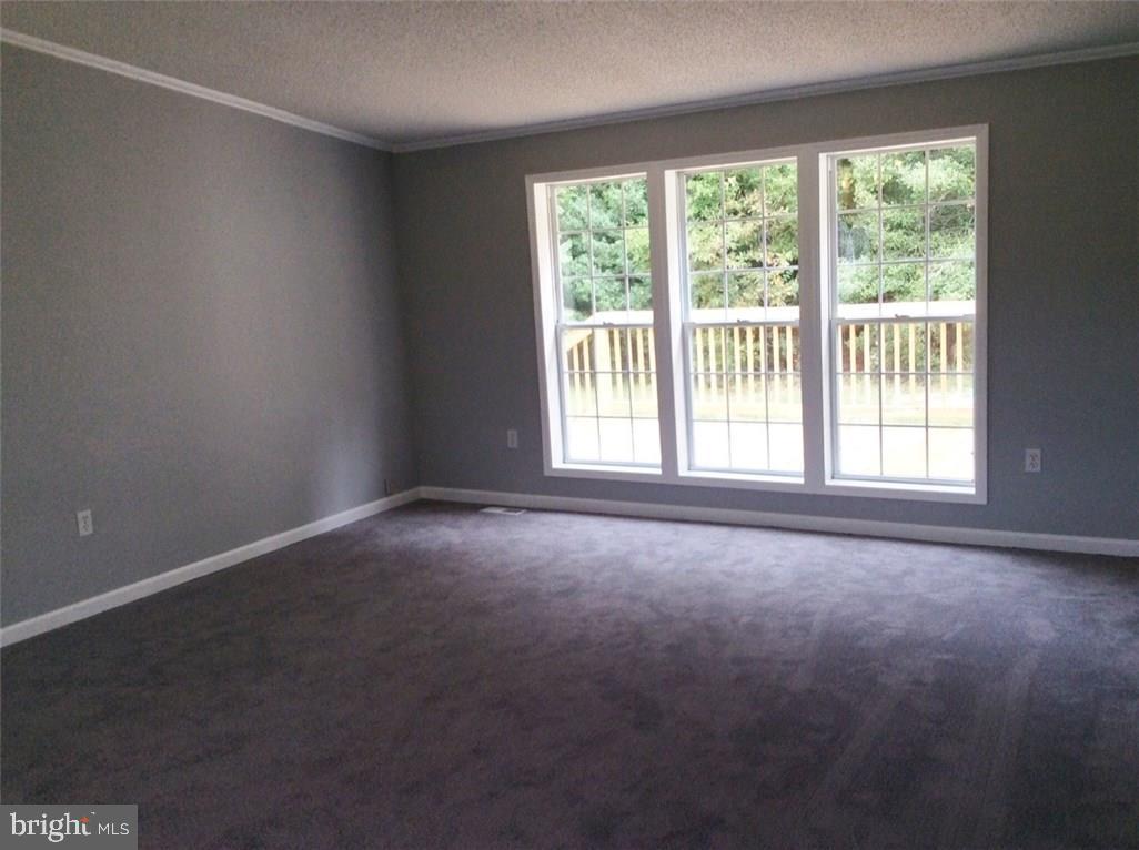 37 Sawgrass Road Milton, DE 19968 - Photo 7 of 24 Gallery Image 7