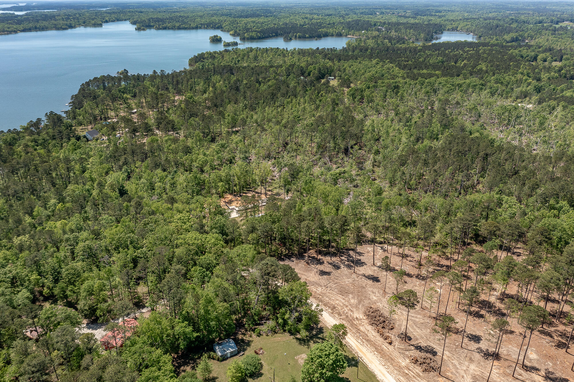 1250 Mosley Road Lincolnton, GA 30817 - Photo 12 of 28 1250 MOSLEY RD. ©-0883