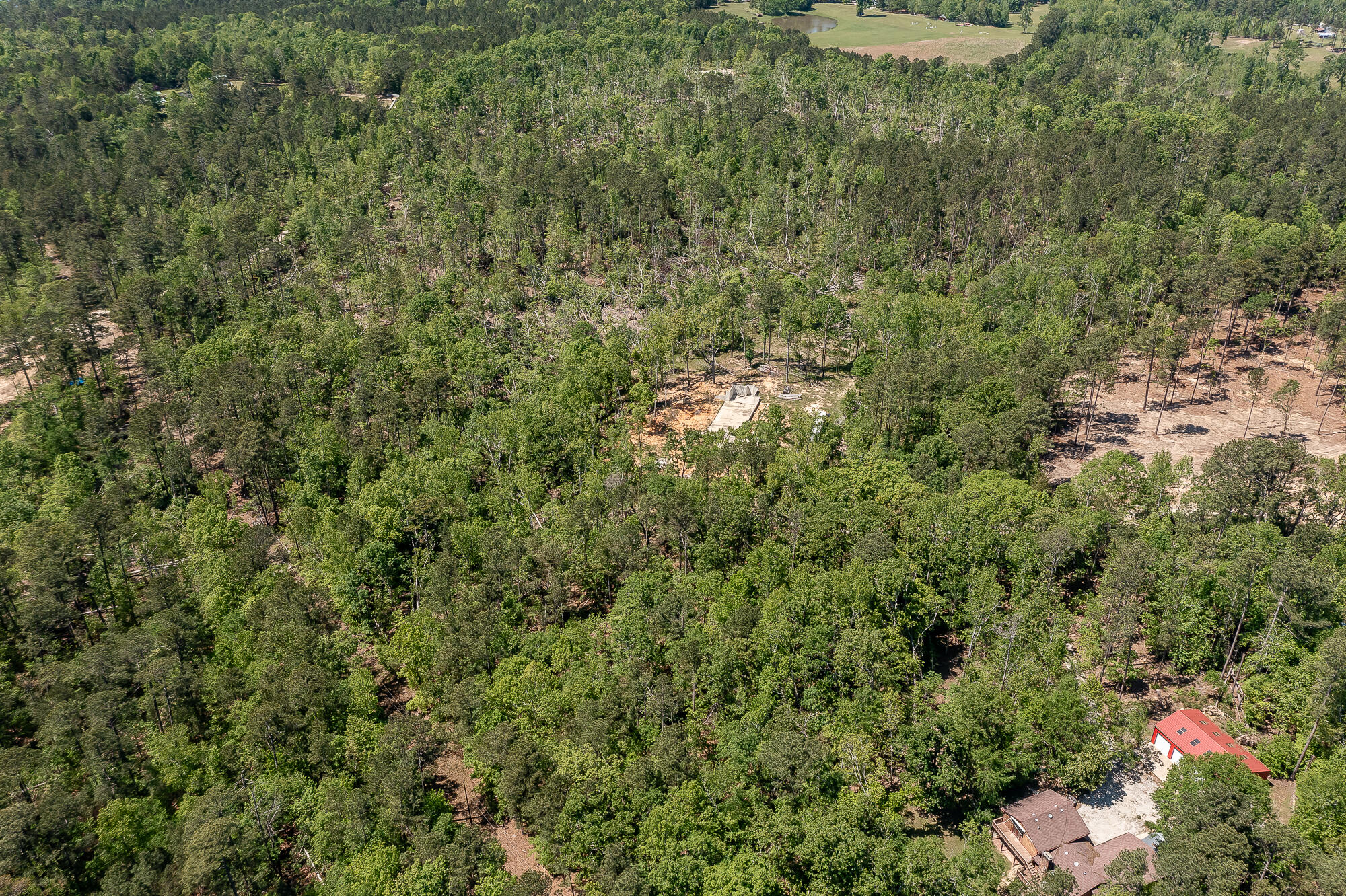1250 Mosley Road Lincolnton, GA 30817 - Photo 14 of 28 1250 MOSLEY RD. ©-0886
