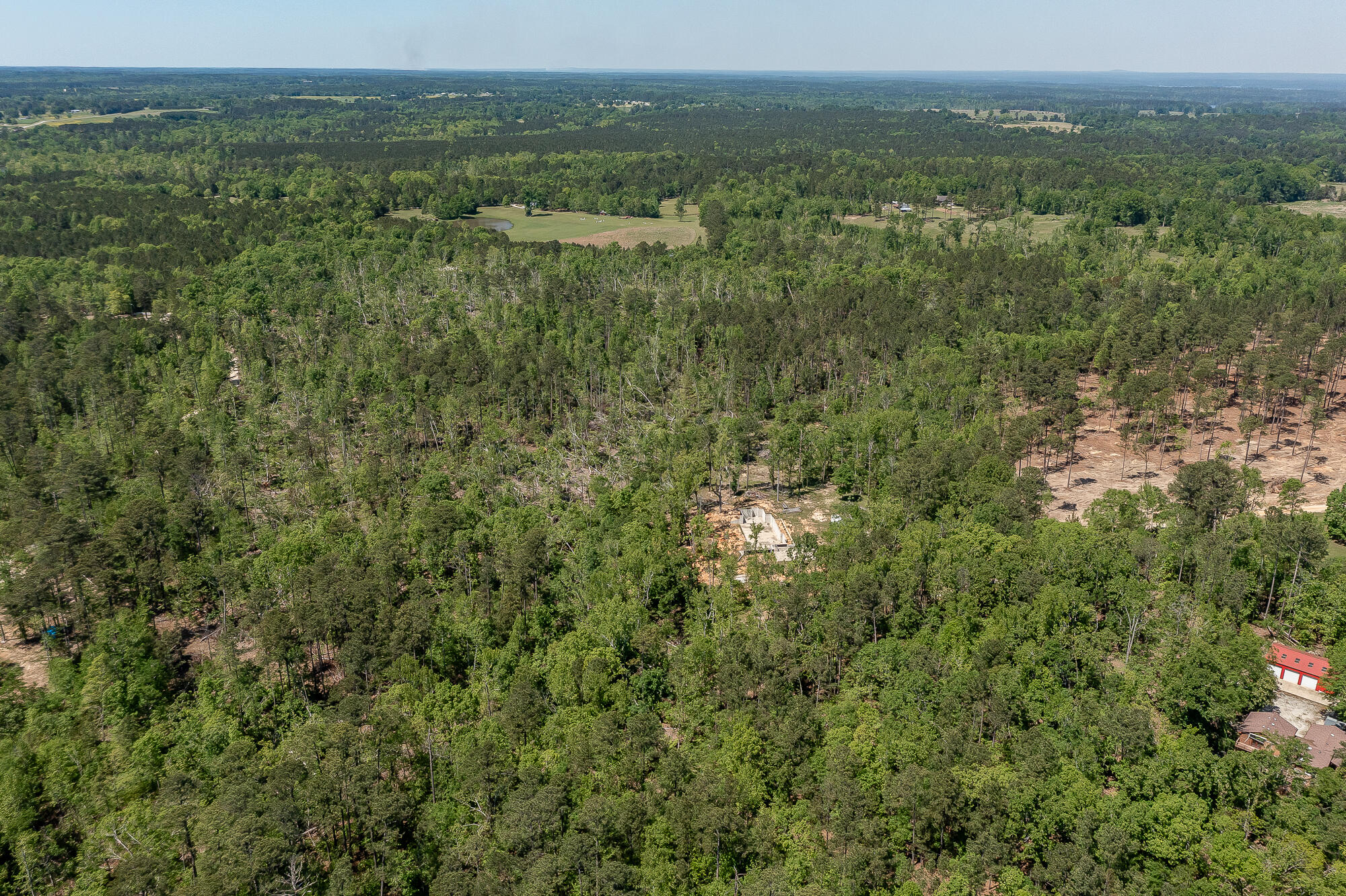 1250 Mosley Road Lincolnton, GA 30817 - Photo 15 of 28 1250 MOSLEY RD. ©-0887