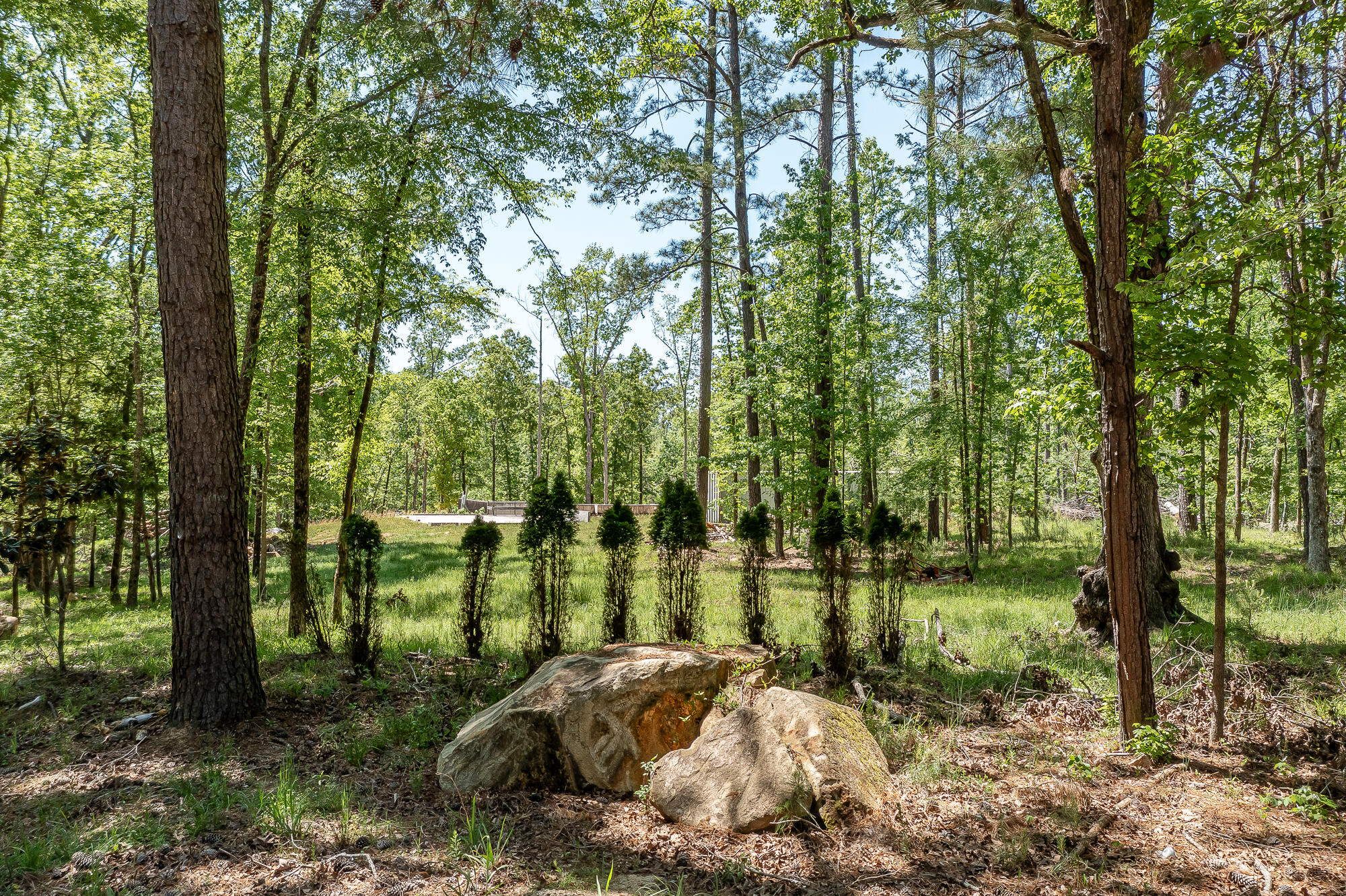 1250 Mosley Road Lincolnton, GA 30817 - Photo 3 of 28 1250 MOSLEY RD. ©-0869