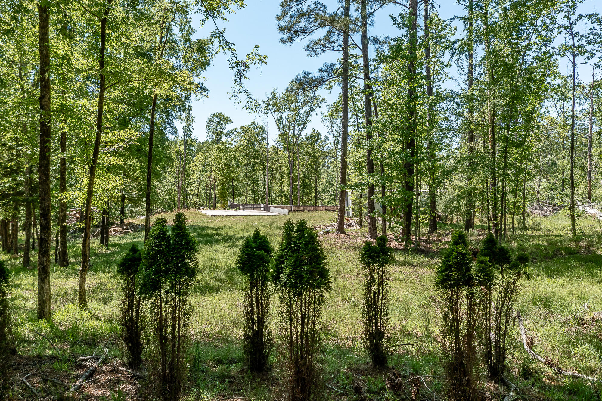 1250 Mosley Road Lincolnton, GA 30817 - Photo 4 of 28 1250 MOSLEY RD. ©-0870