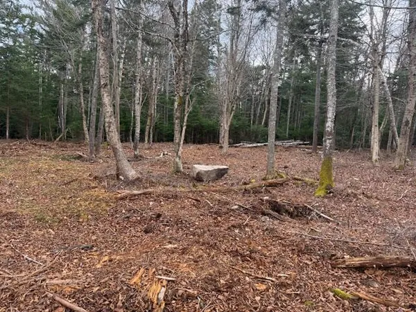 $225,000 | 11 Quiet Shore Road, Steuben, ME 04680