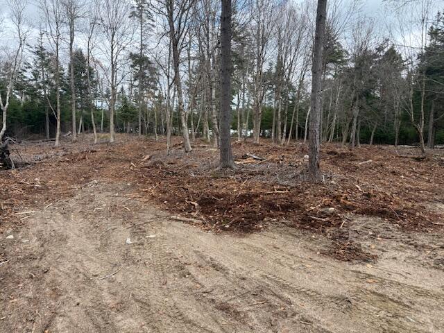 Lot 11 Quiet Shore Road Steuben, ME 04680 - Photo 12 of 23 IMG_1216