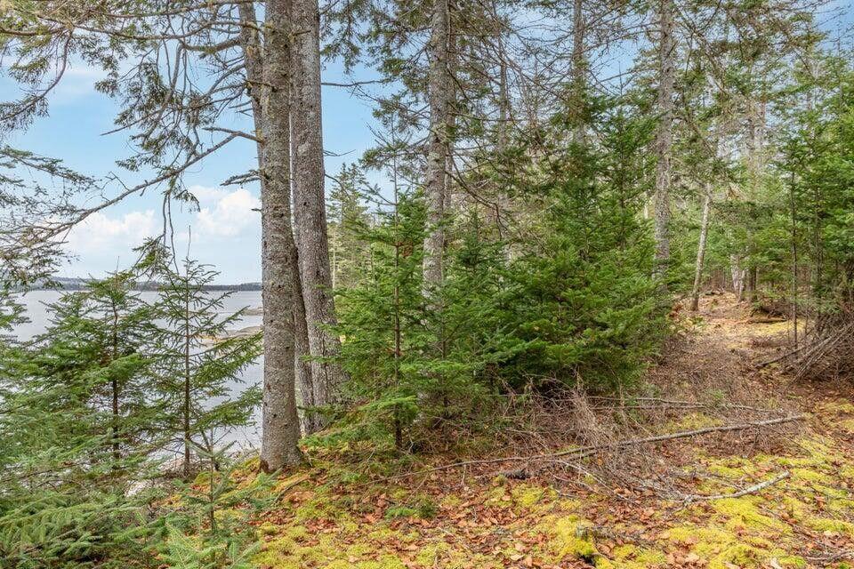 Lot 11 Quiet Shore Road Steuben, ME 04680 - Photo 13 of 23 19