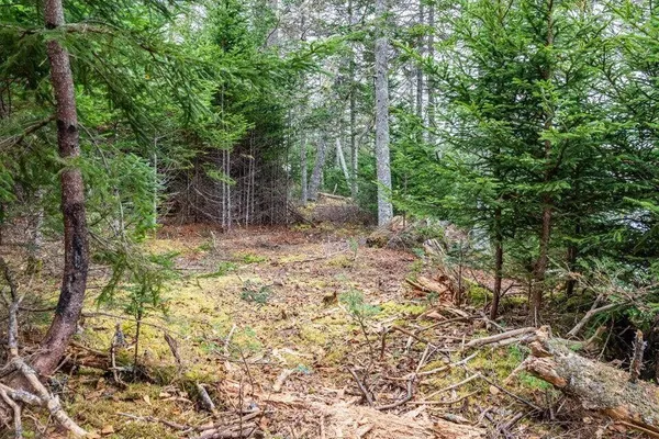 $225,000 | 11 Quiet Shore Road, Steuben, ME 04680