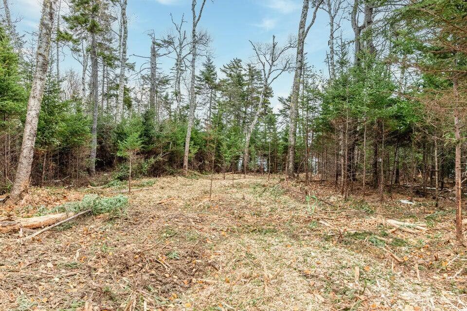 Lot 11 Quiet Shore Road Steuben, ME 04680 - Photo 17 of 23 23