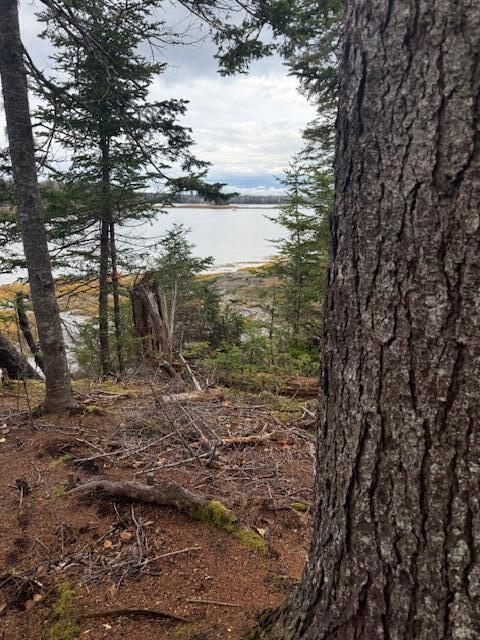 Lot 11 Quiet Shore Road Steuben, ME 04680 - Photo 5 of 23 IMG_1220