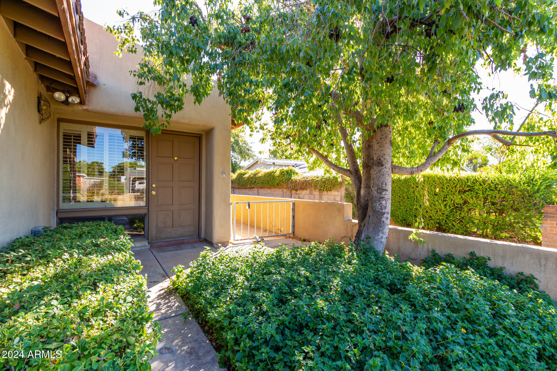 905 East Ocotillo Road Phoenix, AZ 85014 - Photo 2 of 20 a view of a garden