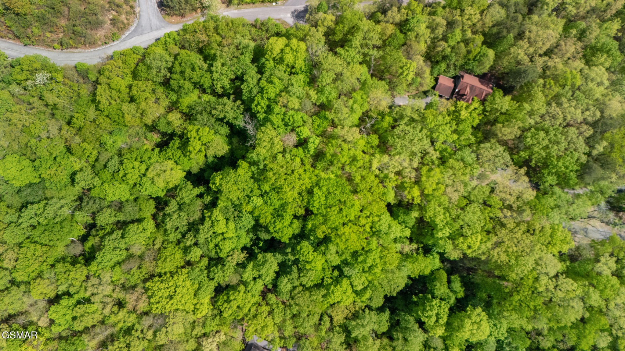 66 Redtail Road Sevierville, TN 37862 - Photo 9 of 12 Gallery Image 9