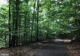 $3,600 | 3518 Ellery Circle, Falls Church, VA 22041