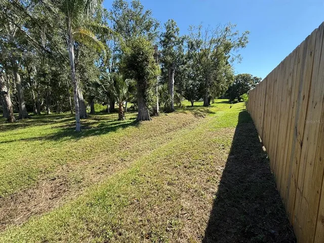 a view of a yard with plants and trees