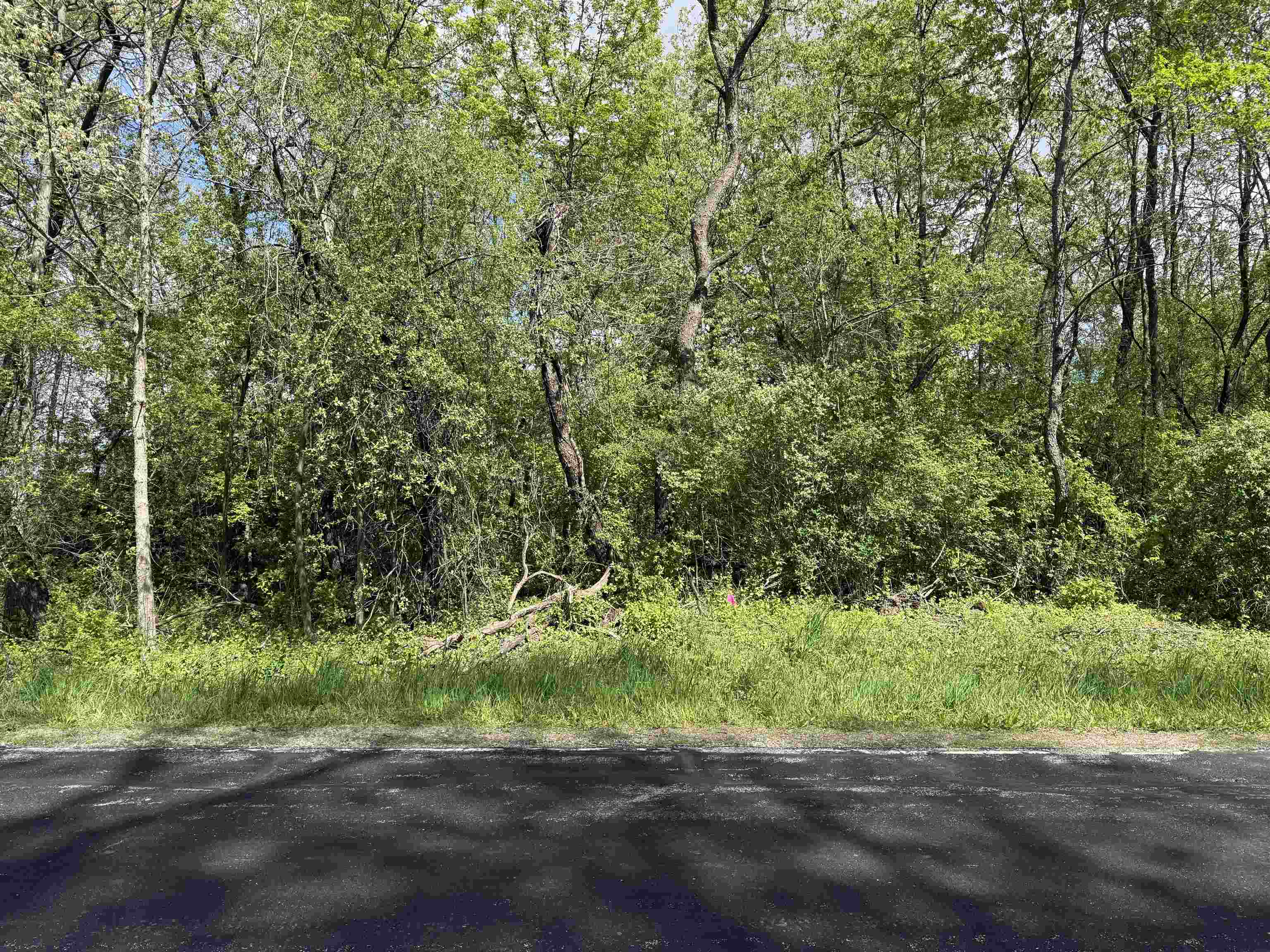 Lot Borchert, Borchert Road Oregon, WI 53575 - Photo 4 of 6
