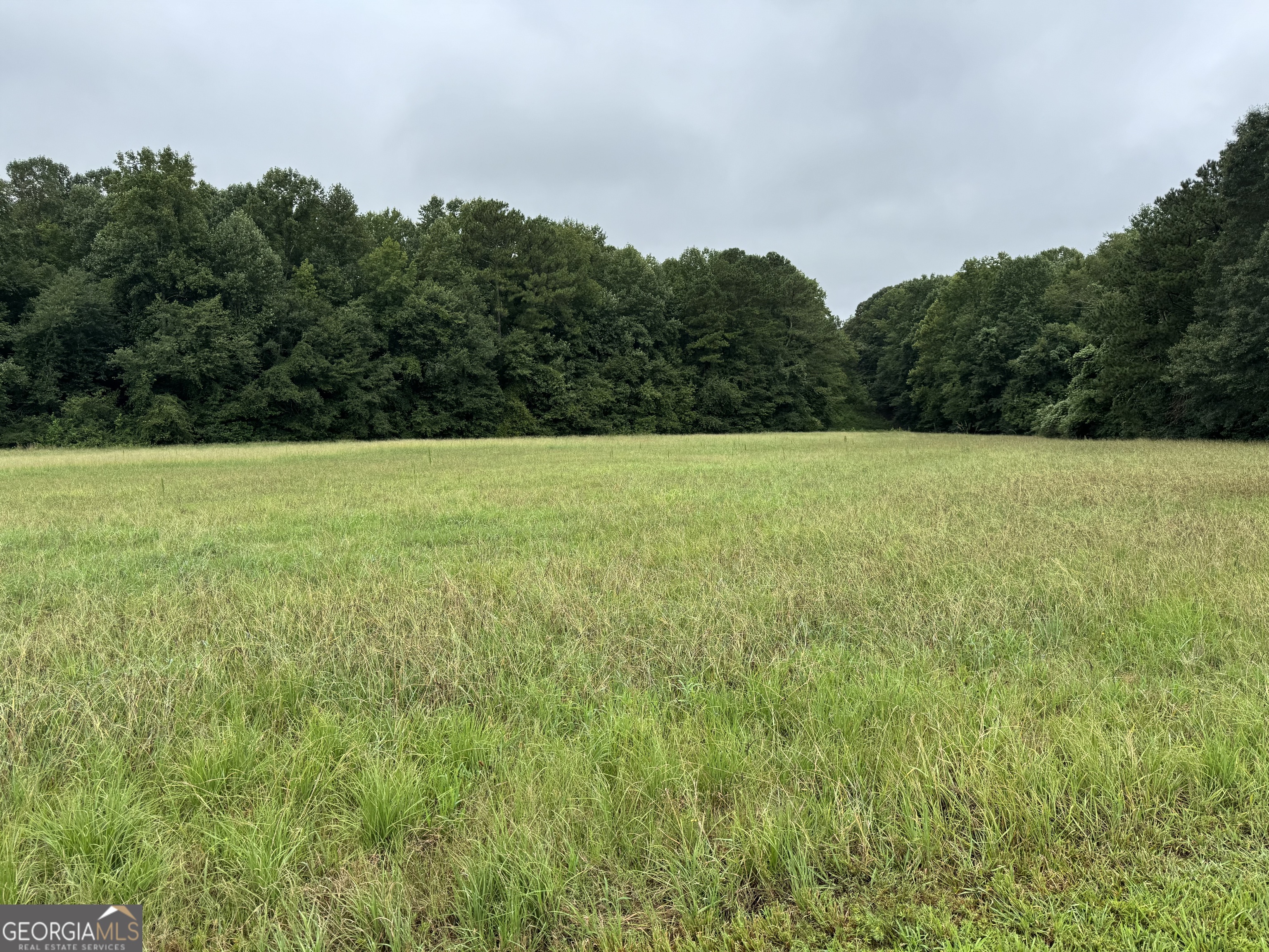 0 Old Sandhill Road Carrollton, GA 30116 - Photo 1 of 1 a view of open field with trees in background