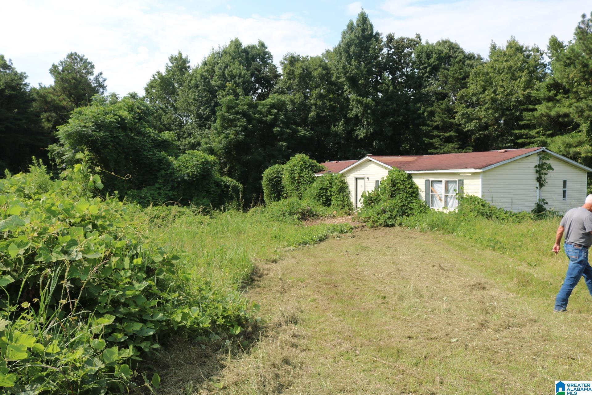 1920 Bruce Shaw Road Adger, AL 35006 - Photo 1 of 15