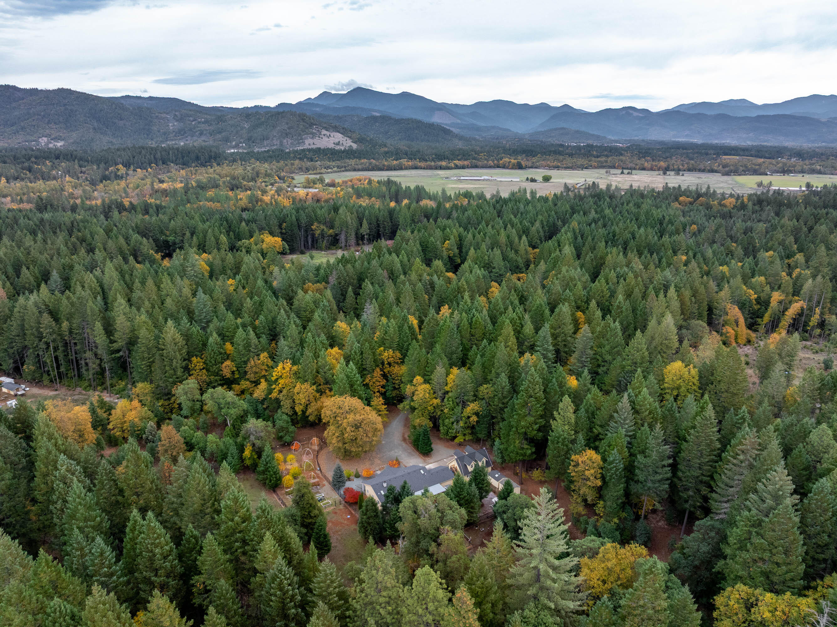 335 Cornett Lane Cave Junction, OR 97523 - Photo 52 of 55 DRONE (3 of 8)