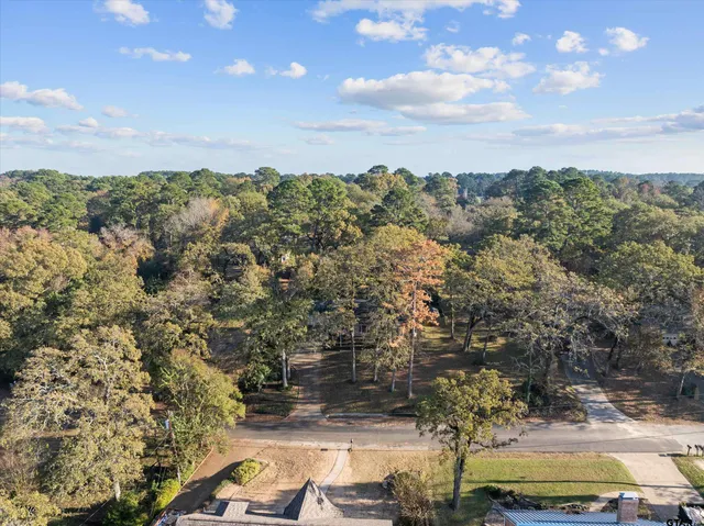 a view of a city with green space