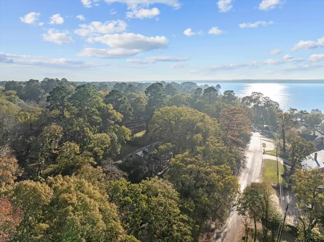 a view of a backyard with a large tree