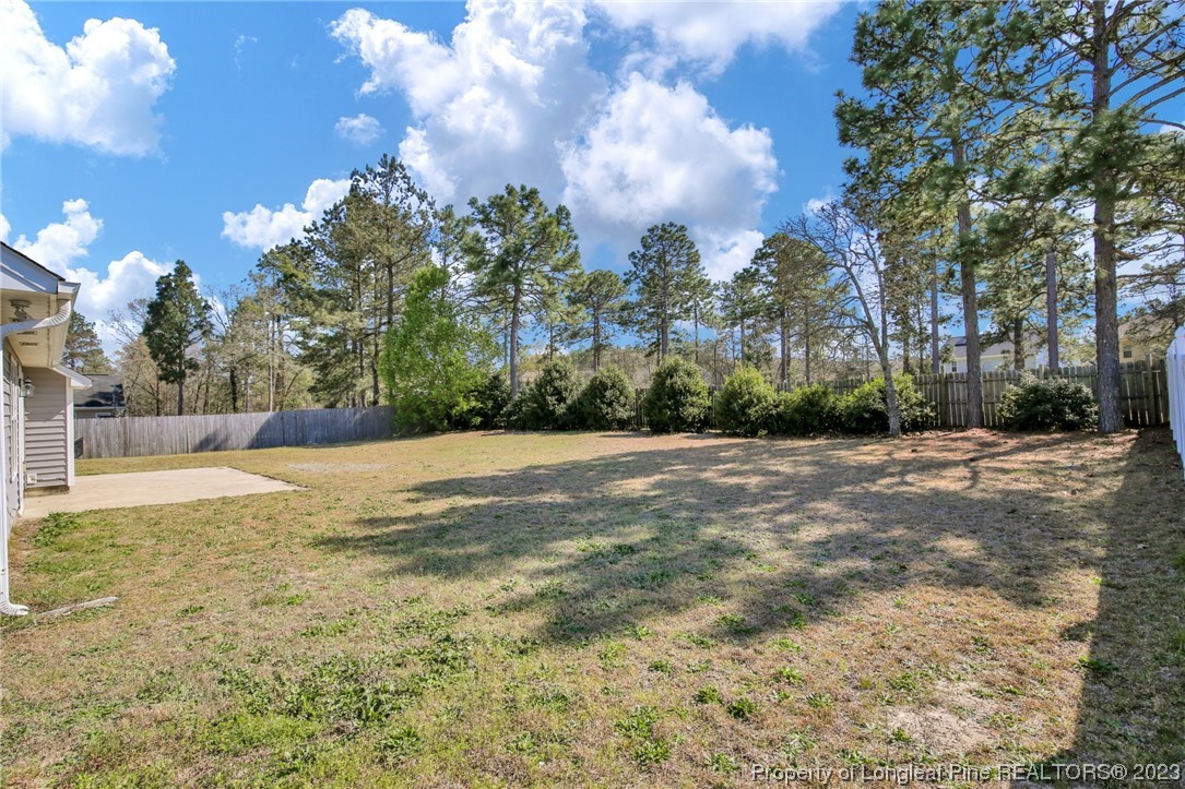 92 Holly Oak Circle Bunnlevel, NC 28323 - Photo 23 of 23 a view of road view with large trees