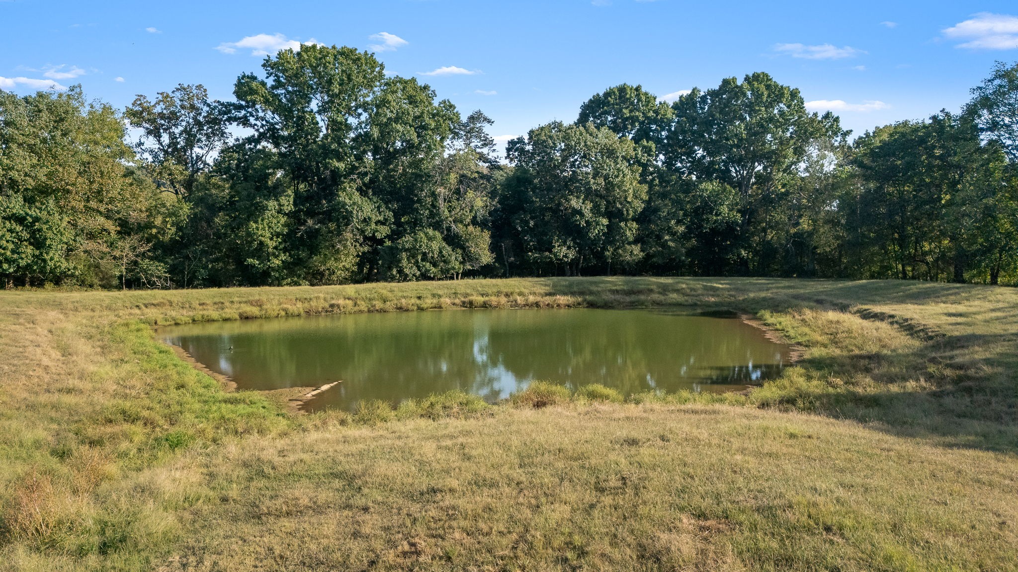 3466 Foster Chapel Road Williamsport, TN 38487 - Photo 64 of 100 Gallery Image 64