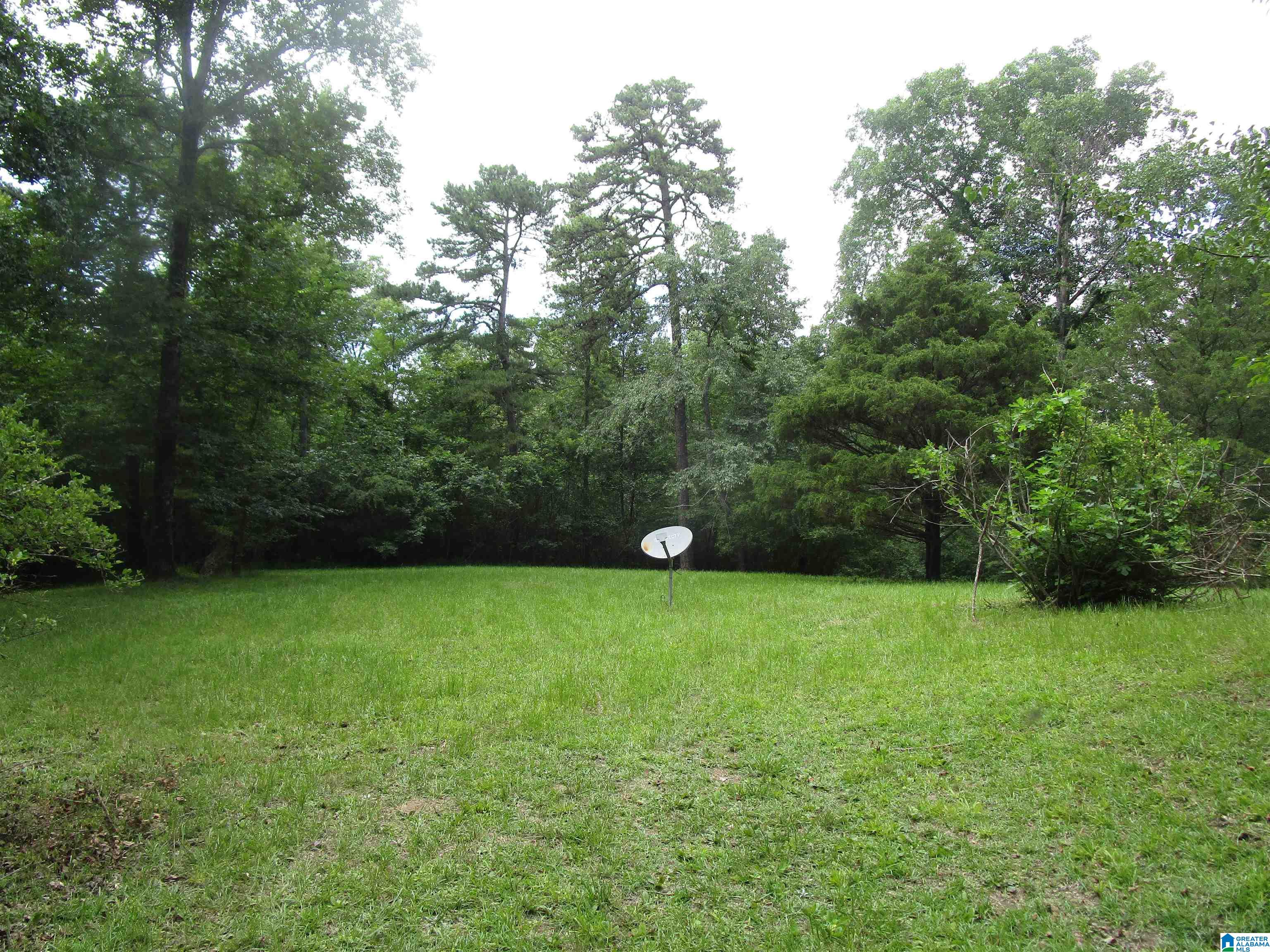 191 Shady Hill Road Warrior, AL 35180 - Photo 18 of 34