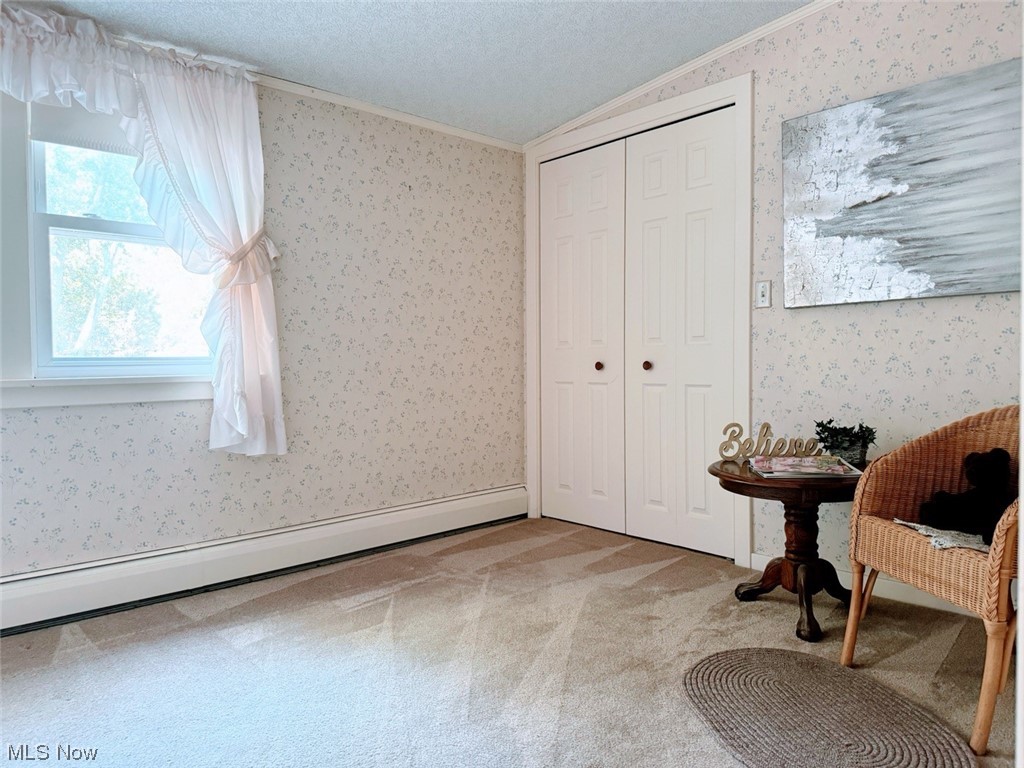 1639 Stonehaven Road Madison, OH 44057 - Photo 26 of 35 Unfurnished room featuring lofted ceiling, light colored carpet, a textured ceiling, a baseboard heating unit, and ornamental molding