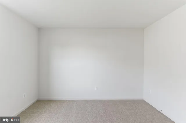 a view of a backyard with a garden and plants