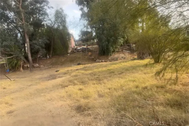 a view of a yard with a tree
