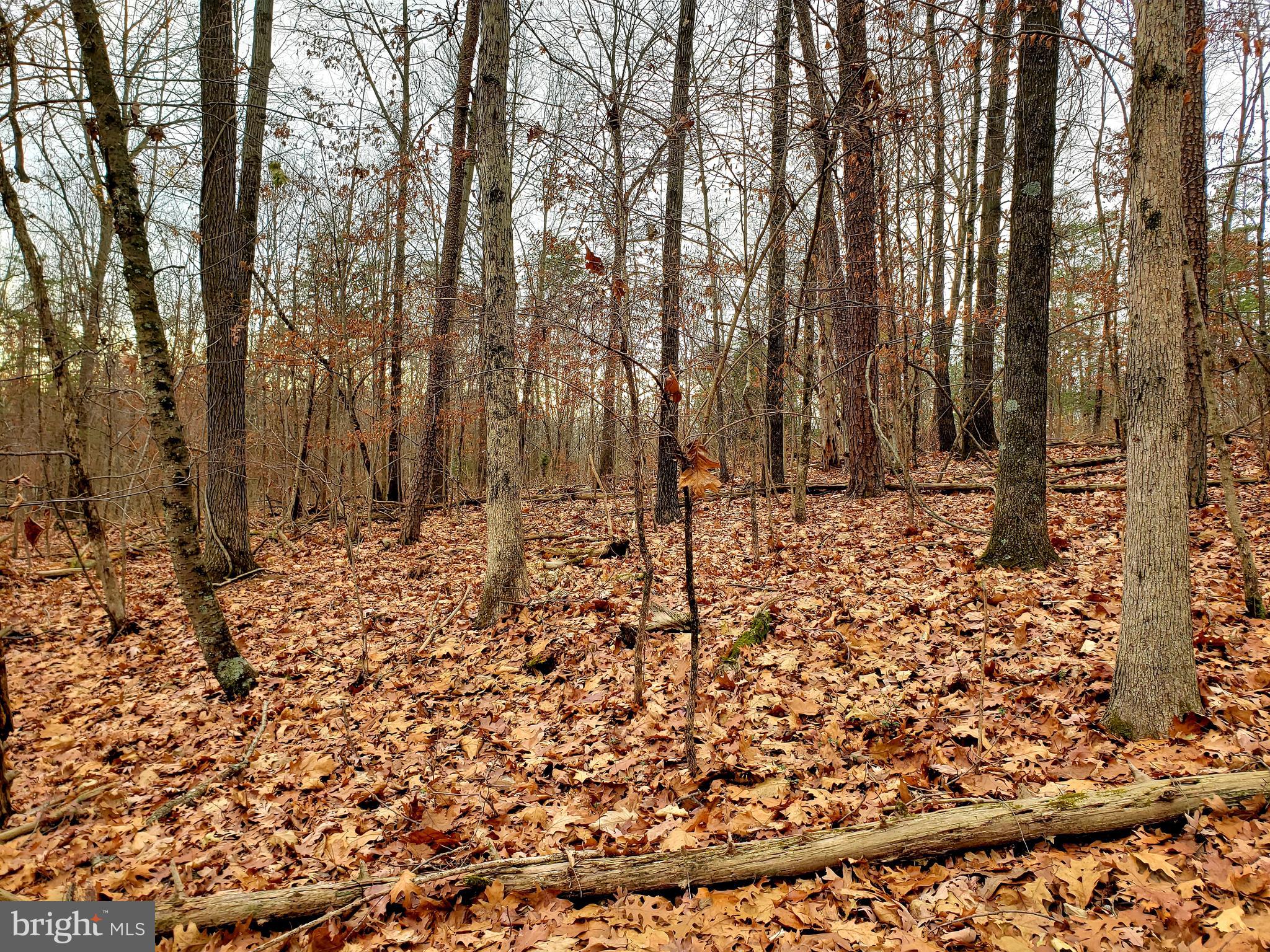 Off Gunpowder Lane Inwood, WV 25428 - Photo 11 of 12