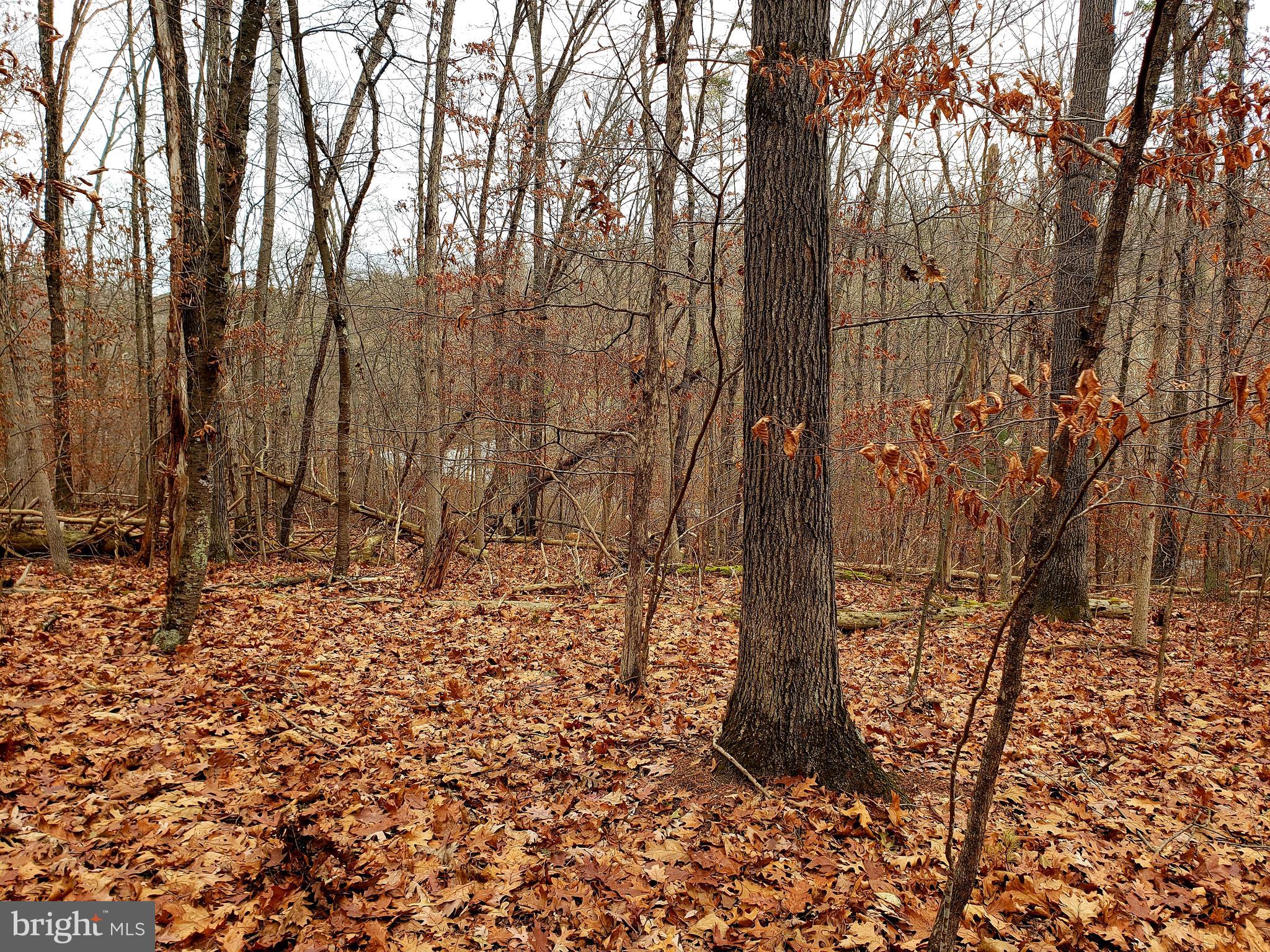 Off Gunpowder Lane Inwood, WV 25428 - Photo 12 of 12