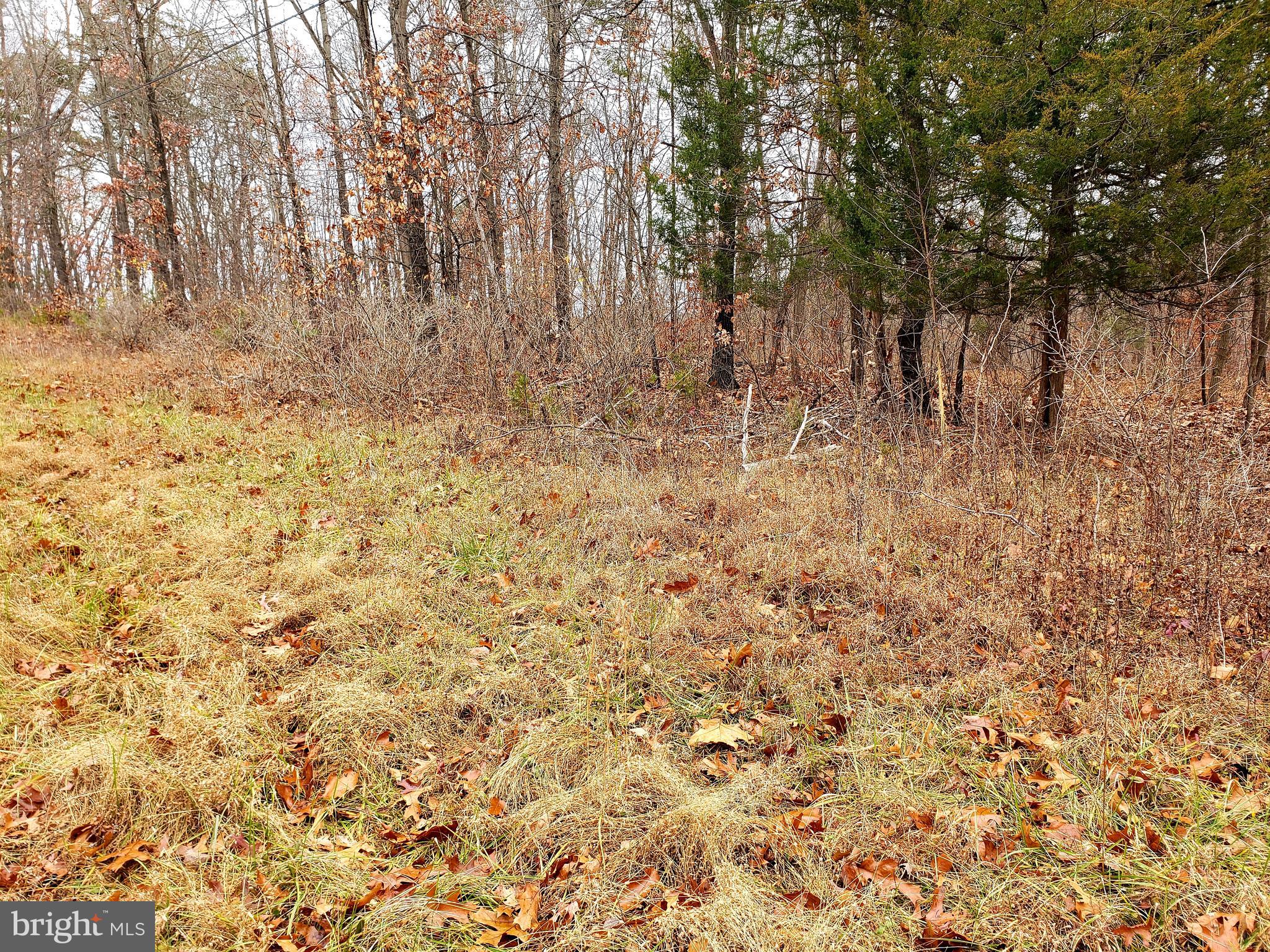 Off Gunpowder Lane Inwood, WV 25428 - Photo 4 of 12