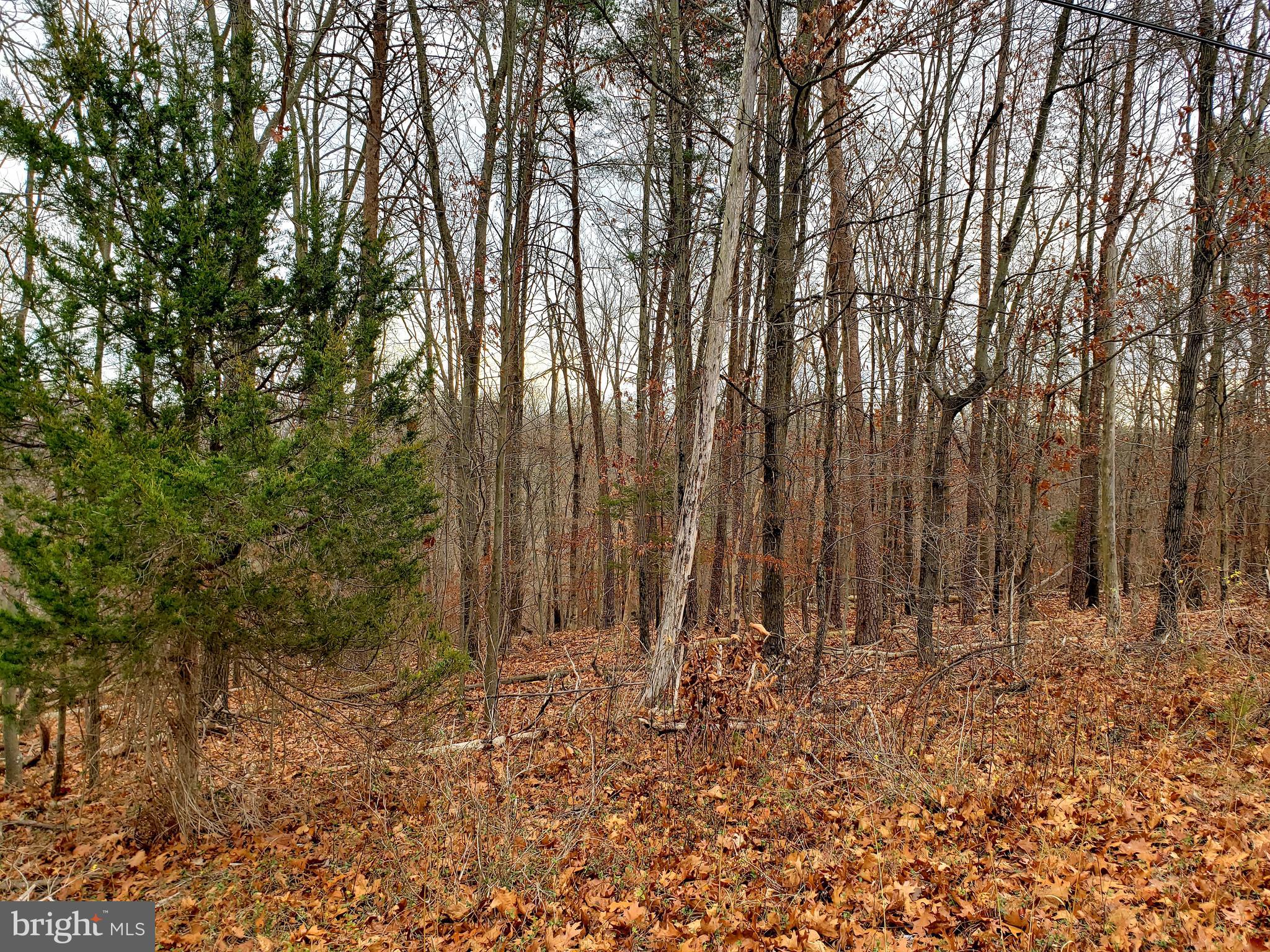 Off Gunpowder Lane Inwood, WV 25428 - Photo 5 of 12