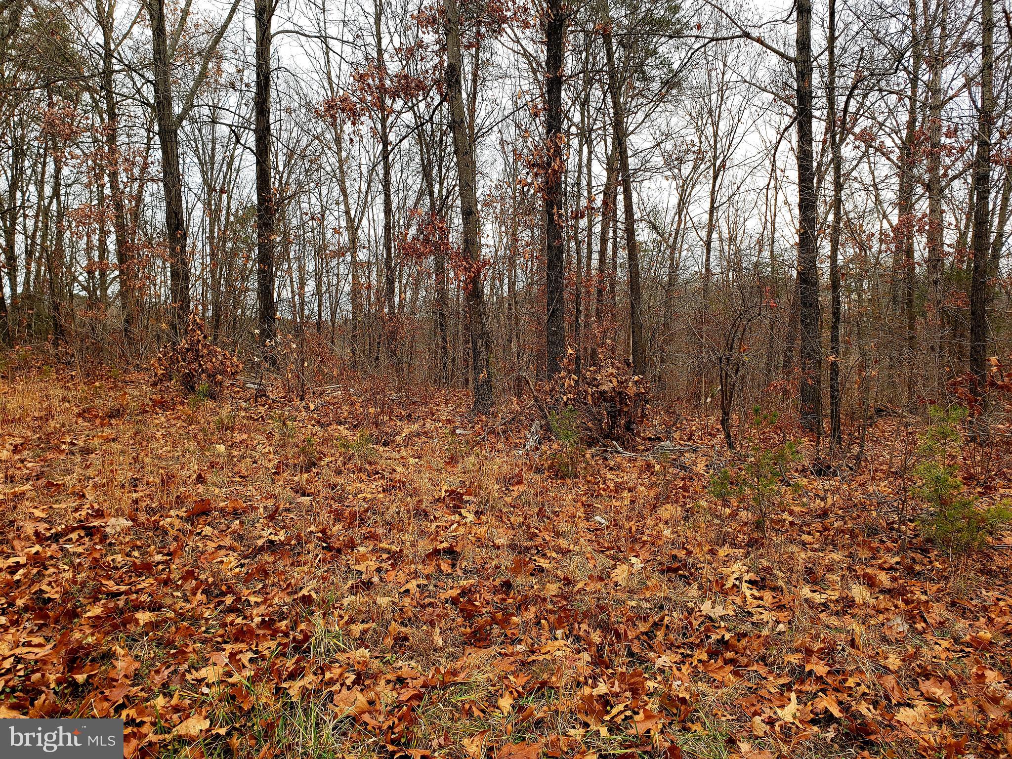 Off Gunpowder Lane Inwood, WV 25428 - Photo 6 of 12