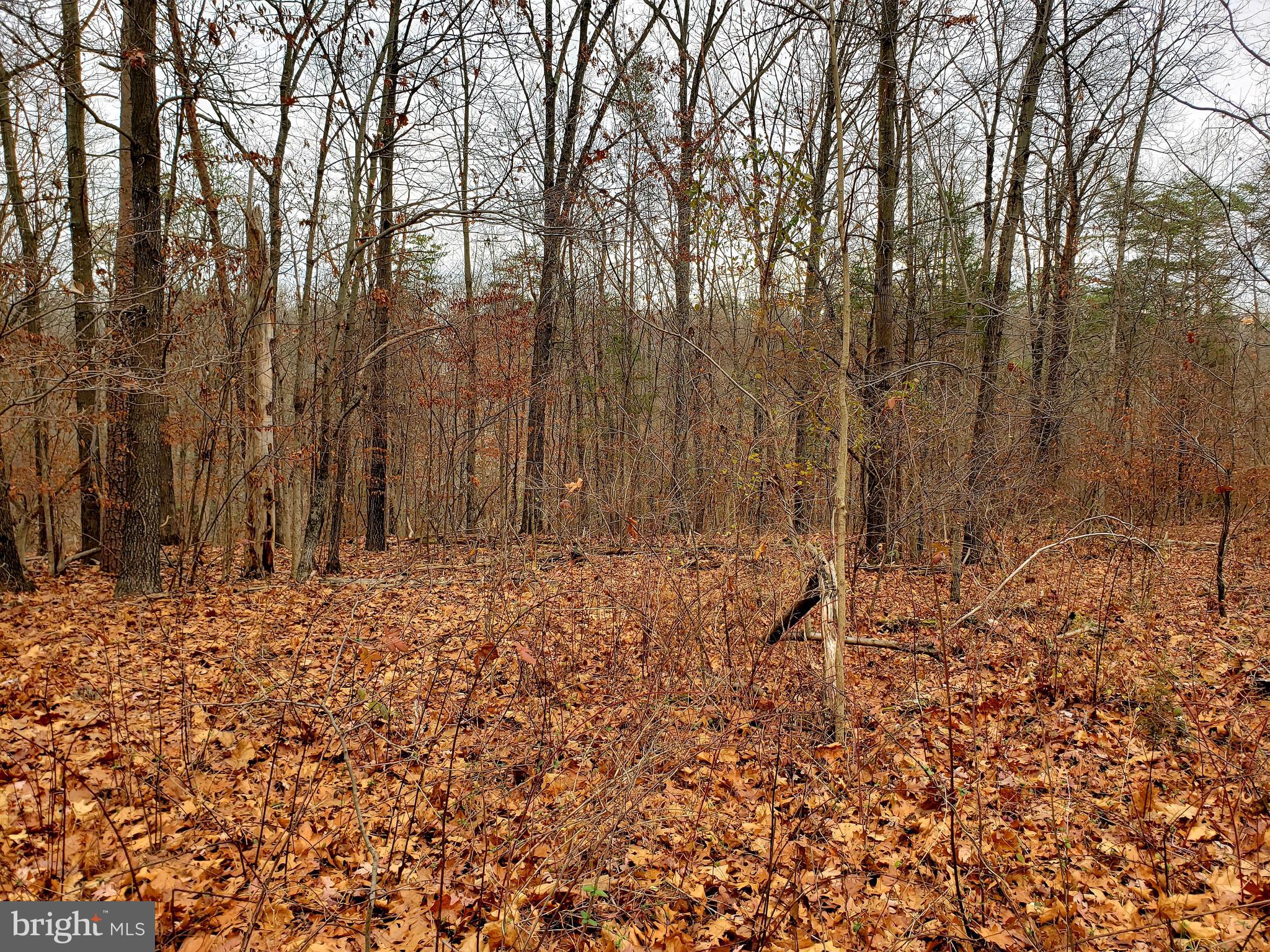 Off Gunpowder Lane Inwood, WV 25428 - Photo 7 of 12